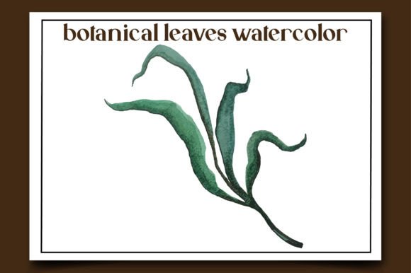 Botanical Leaves Watercolor-7 Illustrations Review