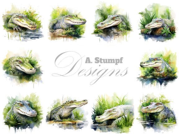 Crocodile Watercolor Illustrations for Branding
