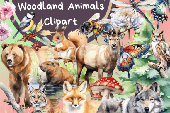 Cute Watercolor Woodland Animals Illustrations Review