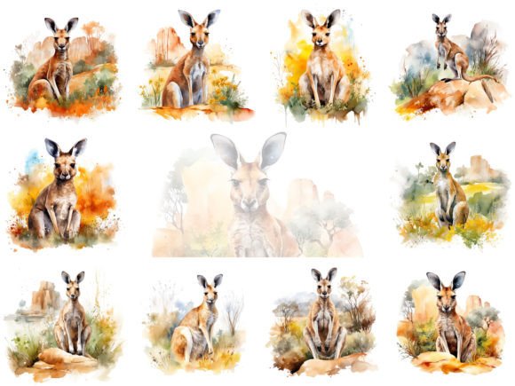 Kangaroo Watercolor Clipart Images Set: Illustrations Review