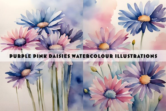 Pink Purple Daisies Watercolour Duo Illustrations Review