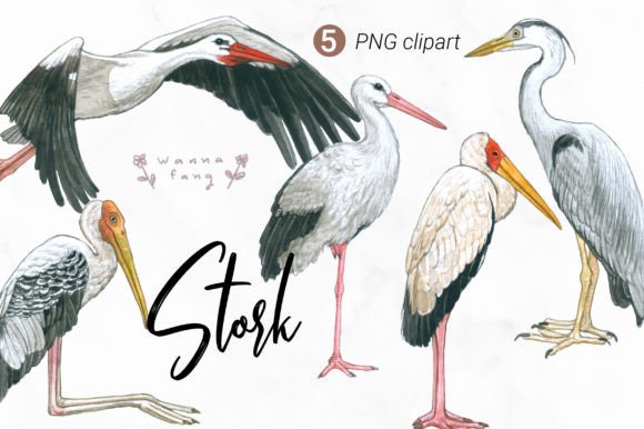 Stork Watercolor Illustrations: PNG Clipart Review