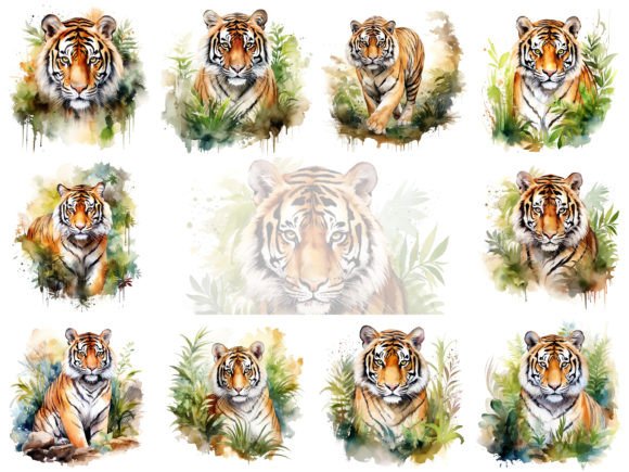 Tiger Watercolor Clipart Illustrations for Branding