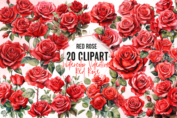 Valentine Red Rose Watercolor Clipart Illustrations