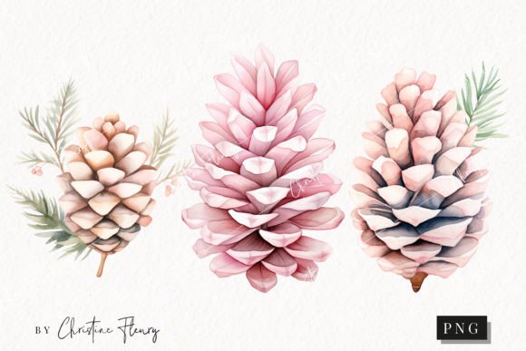 Watercolor Pink Pinecones Clipart Illustrations Review
