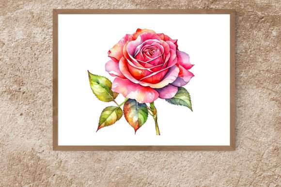 Watercolor Rose Flowers Illustrations for Client Projects