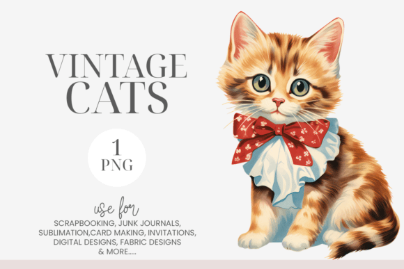 Watercolor Vintage Kitten Clipart PNG for Illustrations
