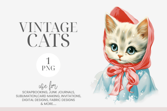 Watercolor White Kitten Clipart PNG in Illustrations
