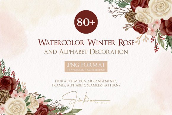 Watercolor Winter Rose Illustrations for Branding